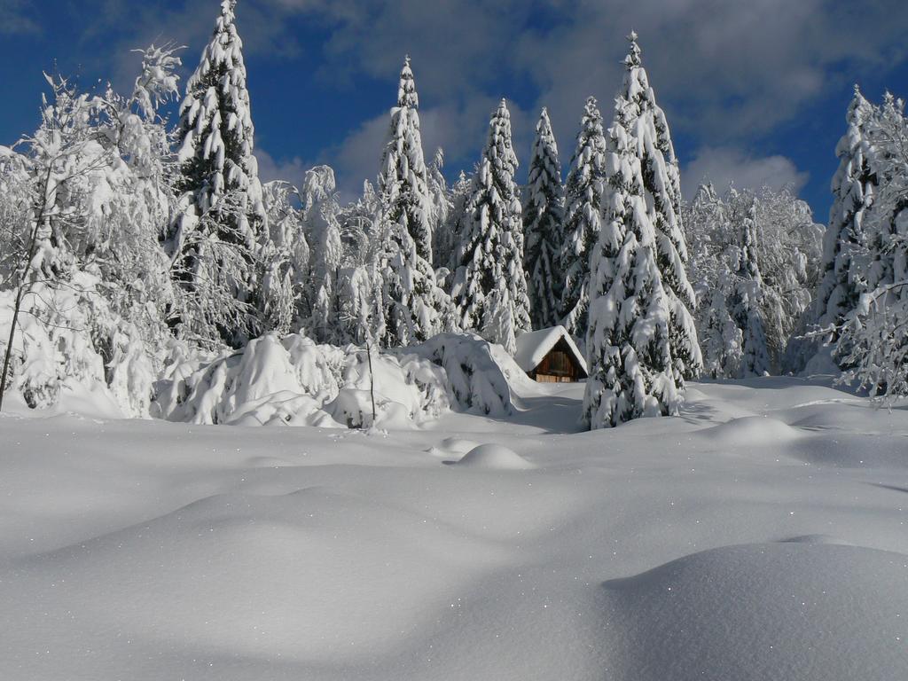 Apartmán Hiska Henrik Zalokar Bohinj Exteriér fotografie