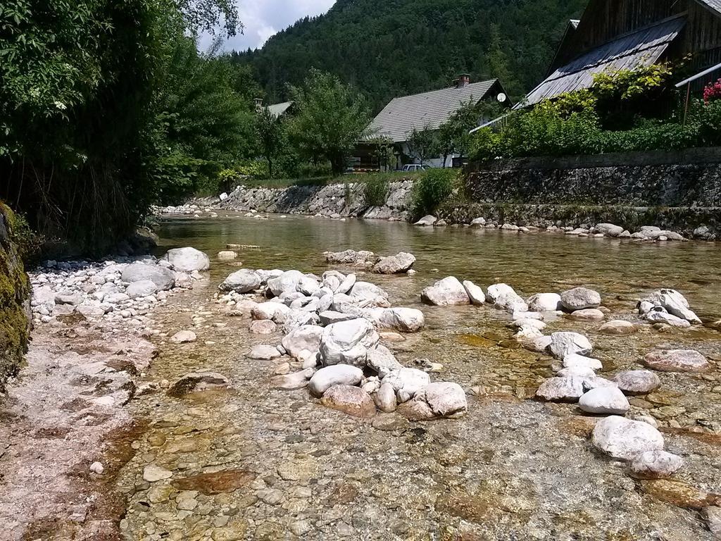 Apartmán Hiska Henrik Zalokar Bohinj Pokoj fotografie