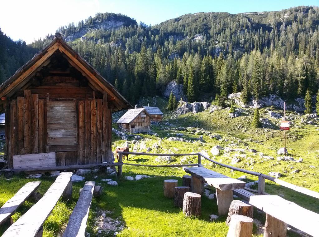 Apartmán Hiska Henrik Zalokar Bohinj Pokoj fotografie