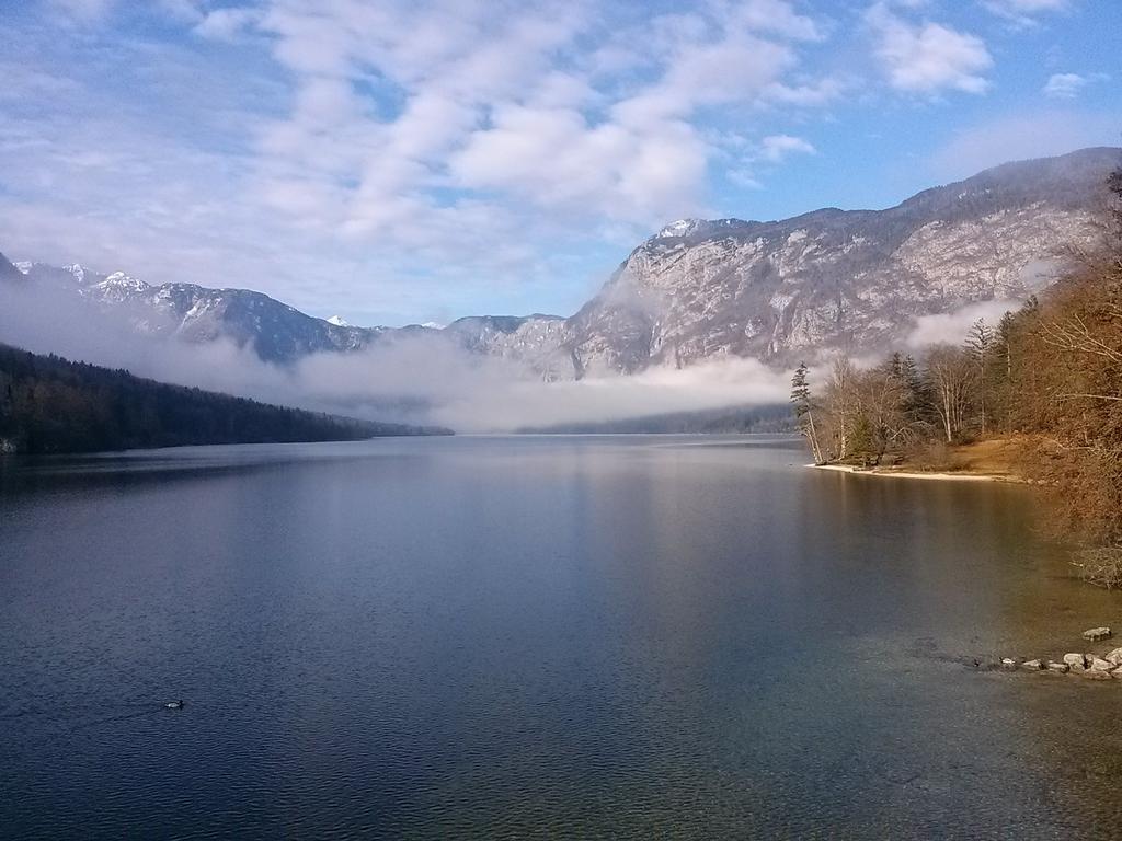 Apartmán Hiska Henrik Zalokar Bohinj Exteriér fotografie