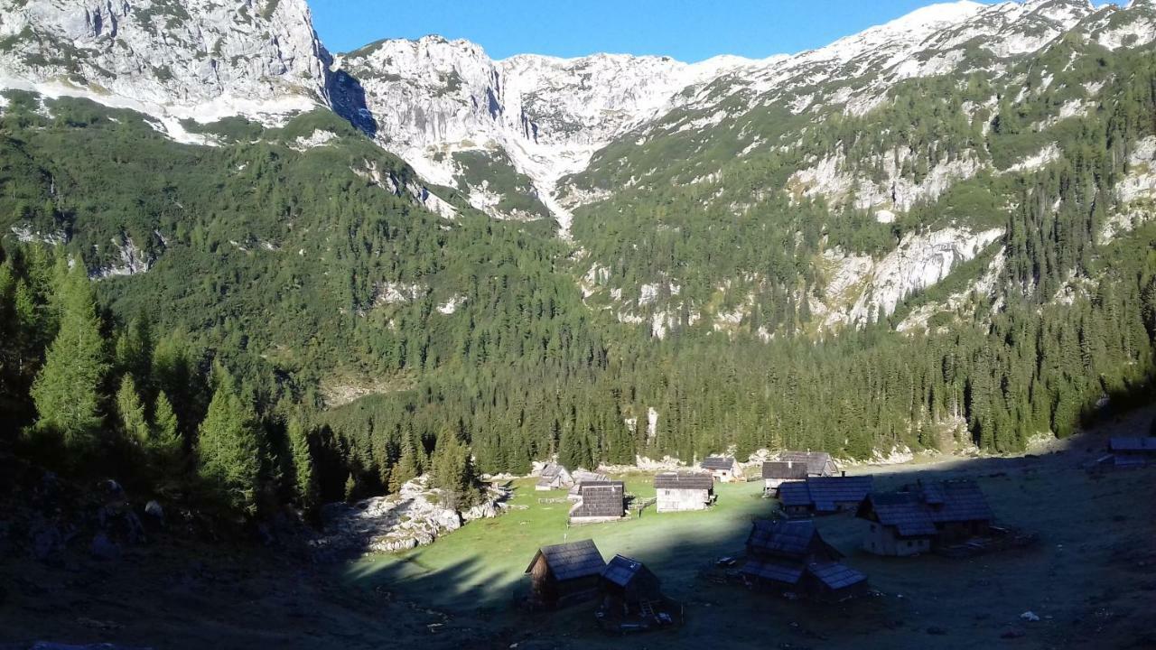 Apartmán Hiska Henrik Zalokar Bohinj Exteriér fotografie