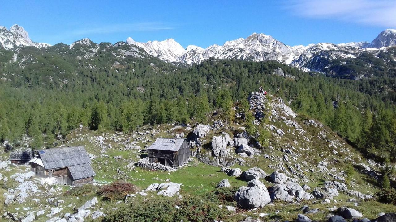 Apartmán Hiska Henrik Zalokar Bohinj Exteriér fotografie