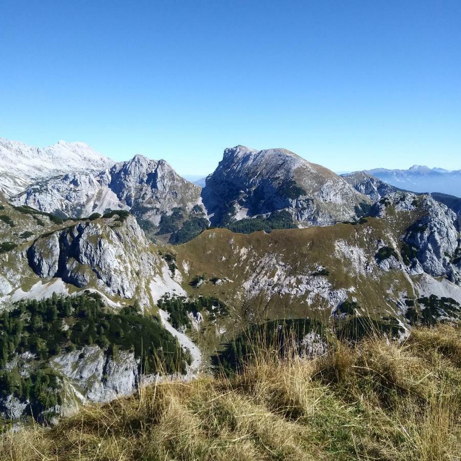 Apartmán Hiska Henrik Zalokar Bohinj Exteriér fotografie